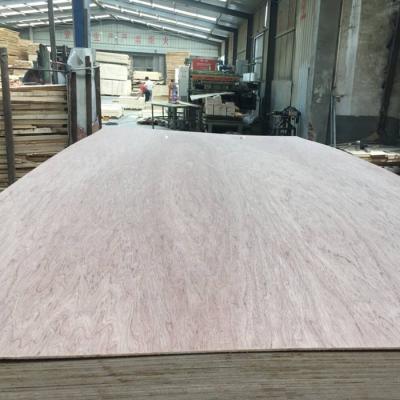 China 3mm Bintangor Modern Furniture Plywood for sale