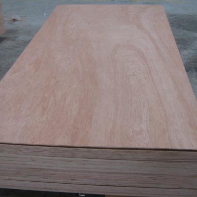 China Modern Bintangor Veneer Commercial Plywood for sale