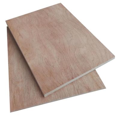 China Modern 3mm Bintangor Veneer Door Skin Plywood for sale