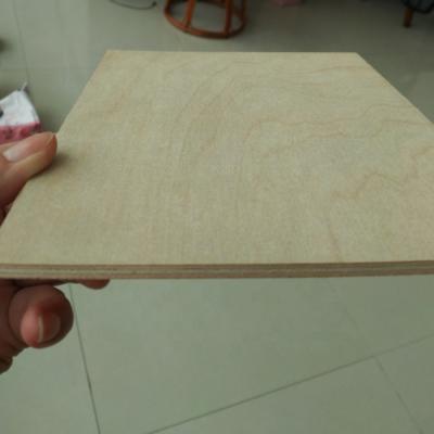 China Modern Furniture Grade 6mm Birch Plywood Sheets for sale