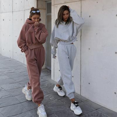 China 2020 custom 2 piece women's Anti-wrinkle jogger workout set crop top hoodie women oversized sweatshirt for sale