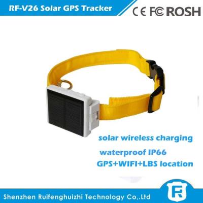 China Waterproof o perseguidor anamal dos gps das energias solares com alarme do SOS, anti-remova o alarme rf-v26 à venda