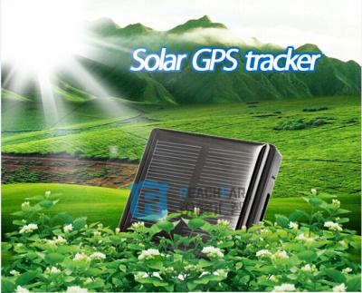 China Smart animals solar gps tracker reachfar rf-v26 small waterproof gps pet tracker for sale