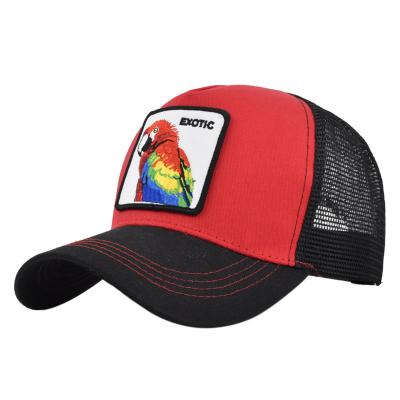 China JOINT European And American Parrot Sports Hats With Logo Customized 5 Panel Foam Mesh Trucker Hat Men And Women Mesh Golf Hats for sale