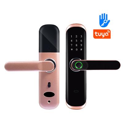 China Tuya BLE ILock-01 Smart Smart Phone Remote Control Biometric Door Lock for sale