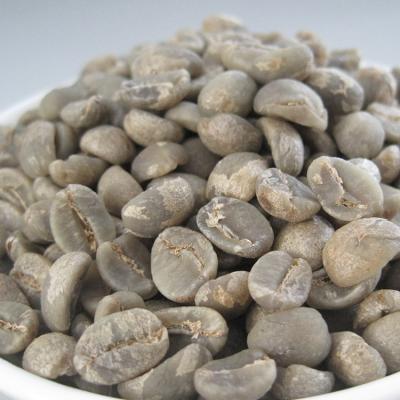 China Green Coffee Bean Hot selling arabica green coffee bean from Yunnan unroasted coffee bean for sale