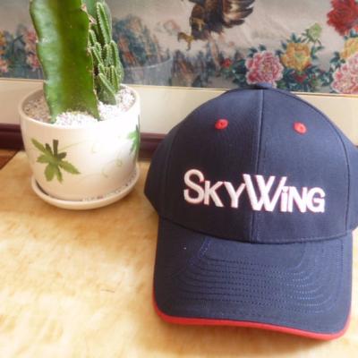 China Ladies 3D Blank Embroidered Golf Hats / Golf Ball Caps Various Color for sale