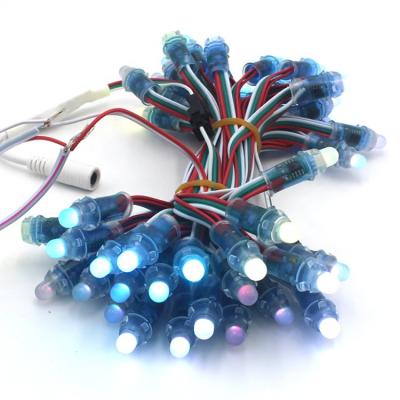 China Theme Park 2023 Hotsale Holiday lighting Christmas decoration 5V 12mm ws2811 led pixel lights string for sale