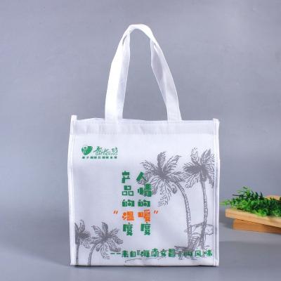 China Custom Logo Printing Food Delivery pp Reusable Non Woven Thermal Cooler Bag With Magic Strap Closure for sale