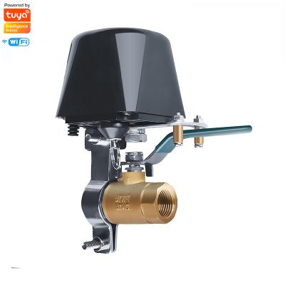 China General Smart Home Automation Gas WiFi Water Valve Tuya Smart Wireless APP Control Smart Home Automation Gas WiFi Water Valve Support Alexa for sale