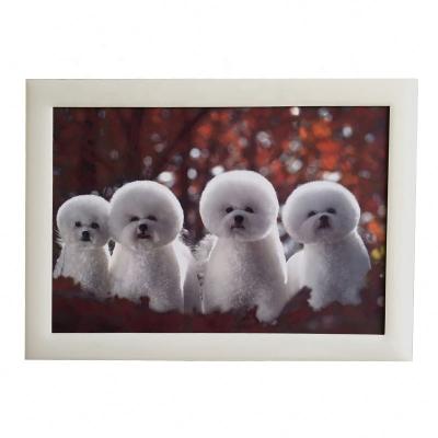 China Magnet Frames High Quality DIPLOMA Acrylic Wall Mounted A4 Photo Frame for sale