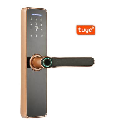 China Hot selling aluminum alloy model X7 tuya wifi smart door lock shipped by DHL/Fedex for sale