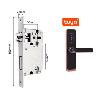 China Aluminum alloy tuya wifi wifi smart password TTT smart door locks electronic smart digital keypad biometric fingerprint code door locks for sale