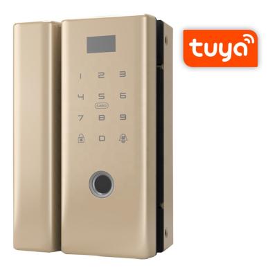 China New Style Zinc Alloy Fingerprint Tempered Glass Smart Biometric Double Door Lock for sale