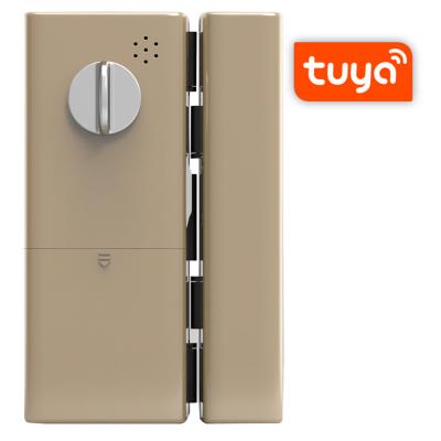 China Tuya Zinc Alloy Smart WiFi Digital Sliding Fingerprint Door Lock Electric Remote Control Glass Door Lock for sale