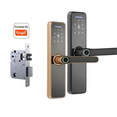 China Smart door lock cylinder digital aluminum alloy lock locks for tuya/ttlock APP for sale