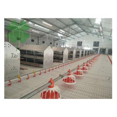 China Farms Poultry Farming Fully Automatic Feeding Line System Feeder Equipment For Broiler Chicken Products for sale