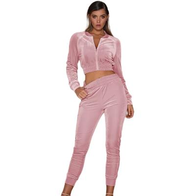 China Anti-pilling Plus Size Two Pieces Zipper Women Clothing Set Long Sleeve Loungewear Velvet Sweat Suits for sale