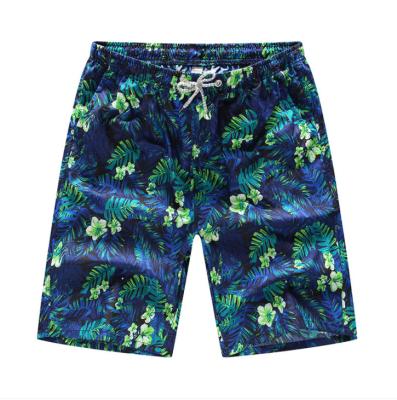 China New Summer Men's Beach Loose Floral Pants Beach Border Shorts Waterproof for sale