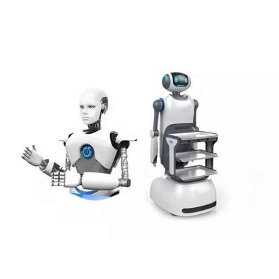 China OEM ODM Robot Aluminum Foil Chatting Self-Walking Intelligent Food Customized Serviing Robot For Shopping Mall For Restaurant Hotel for sale