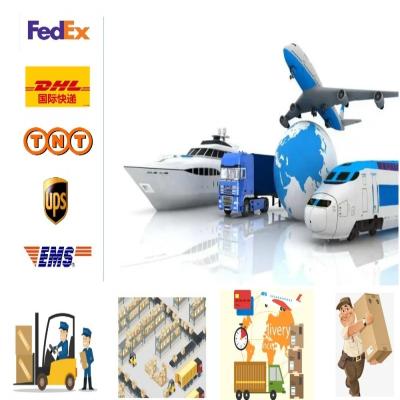 China 30 days for free Shanghai international logistics freight forwarder from China to USA for sale