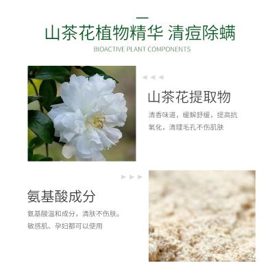 China Damage Detergent Wholesale Organic Camellia Camellia Vegan OEM Pore Cleansing Cream Amino Acid Foam Facial Foam Natural Release Adults for sale