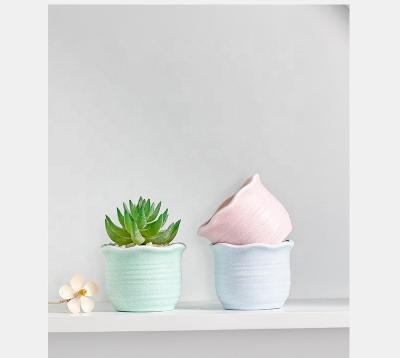 China Multicolor Cactus Minimalist Ceramic Home Decor Planter Pots Flower Balcony Vase Pot for sale