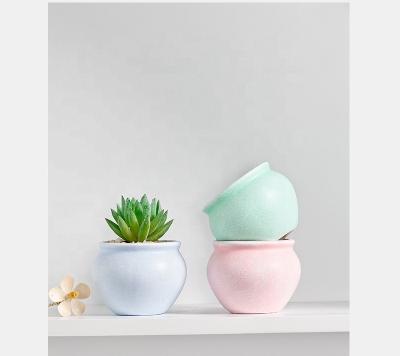 China Mini Flower Vase Small Traditional Succulent Planter Pots Colorful Clay Plant Pot for sale