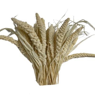 China Cheap Price Natural Millet Dried Flower Preserved Millet Flower For Home Decoration Real Dried Flower Millet Bouquet For Home Decor for sale