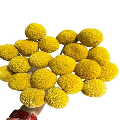 China Natural Dried Craspedia Flowers Gold Ball Dried Craspedia For DIY Bouquet Dried Ball Billy Button For Hom Gold Decoration for sale