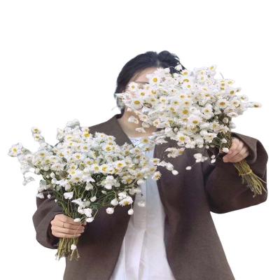 China Wedding Party Store Home Decor 2021 Hot Selling White Flower Dried Bouquet Dried Timeless Pink Natural Dried Flower Bouquet For Christmas Day for sale