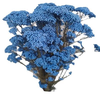 China Home supply hot selling home supply factory store decoration wedding flower millet rice flower eternal preserved eternal white blue rose flower arrangement long last for sale