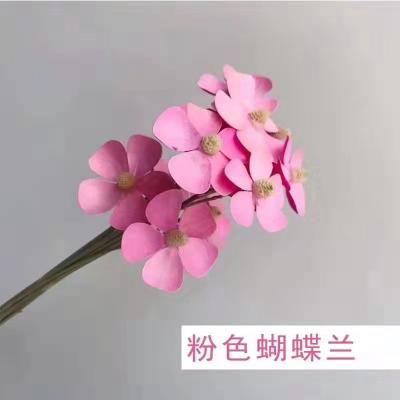 China Wholesale Natural Incana Wedding Party Shop Decoration Flower Tip Matthiola Home Dried Forever Real Violet Flowers Bouquet Arrangement for sale