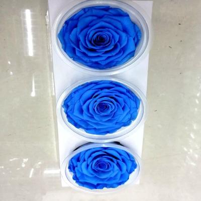 China Wedding& Home Flower Arrangements Factory Customized Valentine's Day Gift Immortalized Long Lasting White Rose Preserved Rose Wedding Home Decoration Handicraft for sale