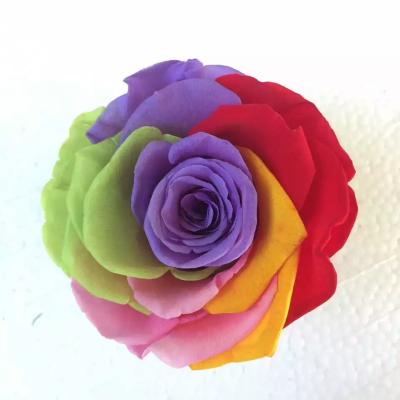 China Wedding& Home Flower Arrangements Factory Customized Multicolor Flower Wedding Head Rose Decoration Handwork Eternal Preserved Home Use for sale