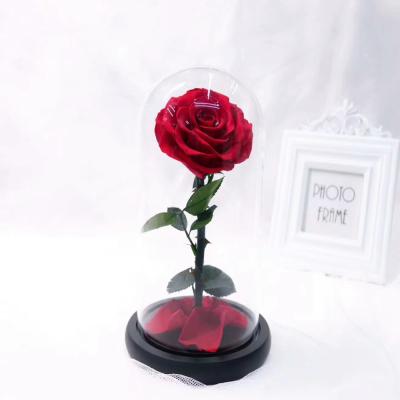 China Wedding& Home Flower Arrangements Wholesale Eternal Preserved Flower Rose In Glass Dome Rose Gift For Festival Valentine's Day Flower Arrangement for sale