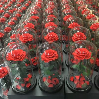 China Wedding& Home Flower Arrangements Factory Wholesale Forever Preserved Natural Roses Flowers In Glass Valentine Christmas Romantic Gift Birthday Gift for sale