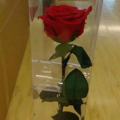 China Wedding& Beautiful Home Flower Arrangements Hot Sale Real Touch Preserved Flower Natural Rose Preserved Stem Roses For Valentine Gifts for sale