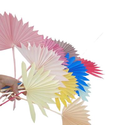 China Wedding Flower Arrangements Wholesale Natural Dry Palm Fan Leaves Amazon Hot Selling Decorative Palm Fan Flowers For DIY Flower Arrangement for sale