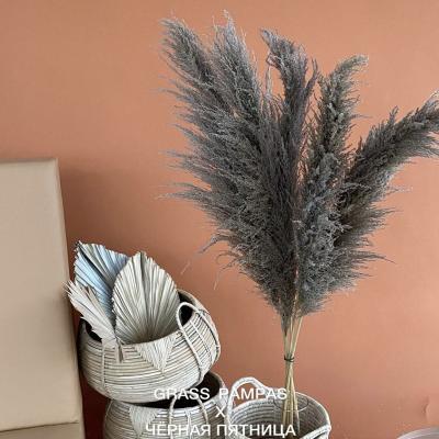 China Gray Color Faux Natural Dry Fluffy Artificial Pampas Grass Pampas Large Long Large Stem Pampas Grass Wholesale Hot Sale For Wedding Decor for sale