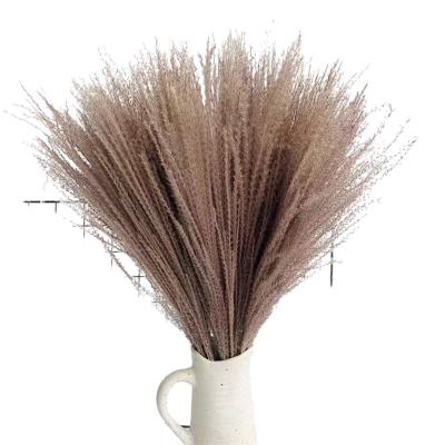 China Hot Selling Dried Bouquets Small Fluffy Natural Pampas Reed Home Wedding Decoration Amazon Pampas Grass Bouquet Small Flower Bouquet for sale