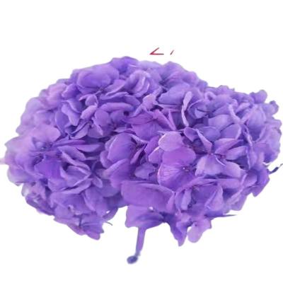 China Wedding Home Wall Decoration Ins Style Preserved Hydrangea Real Group Touch Preserved Large Floral Flower Leaf Hydrangea DIY All Kinds Of Event Decor Flower for sale