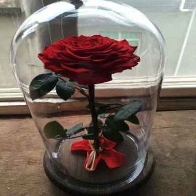 China New Product Handmade Preserved Roses Flower in Dome Glass Christmas Valentine Custom Western Gifts Wedding 18**15*12cm for sale