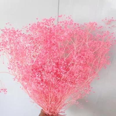 China Hot Selling High Quality Dry Gypsophila Wedding Flower Arrangements Home Decoration Stars Touch Flower Real Million Preserved Million Star Babysbreath For Home Decoration for sale