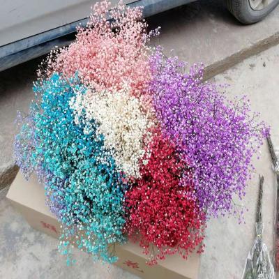 China Factory Wholesale Colorful White Pink Babysbreath Blue Decorative Preserved Gypsophila Decoration Living Room Dining Room Or Study Room For Christmas Bedroom Decoration for sale