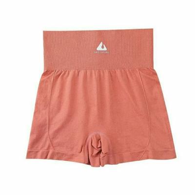 China Breathable Sweat Shorts High Waist Belly Stretch Exercise Shorts Tight Peach Butt Pants Yoga Biker Shorts for sale