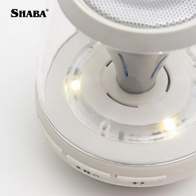 China 2020 new car sound system workmanship car sound system woofer electric car computer speakers bulb speaker high speed radio for sale