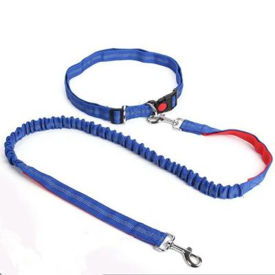 China Double Bungee Telescopic Dog Jogging Leash High Quality Portable Reflective Pet Running Leashes for sale