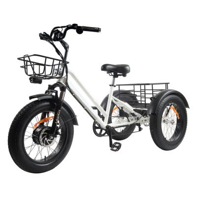 China Steel Customize Express Delivery Courier Cargo E-Bike 48V750w Bafang Motor 3 Wheel Motorized Bicycle With Fat Tires for sale