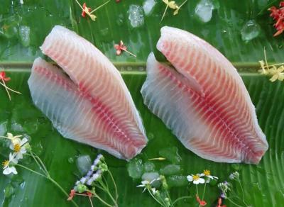 China Frozen Tilapia Fillet for sale